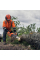 Бензопила Husqvarna 540XP III
